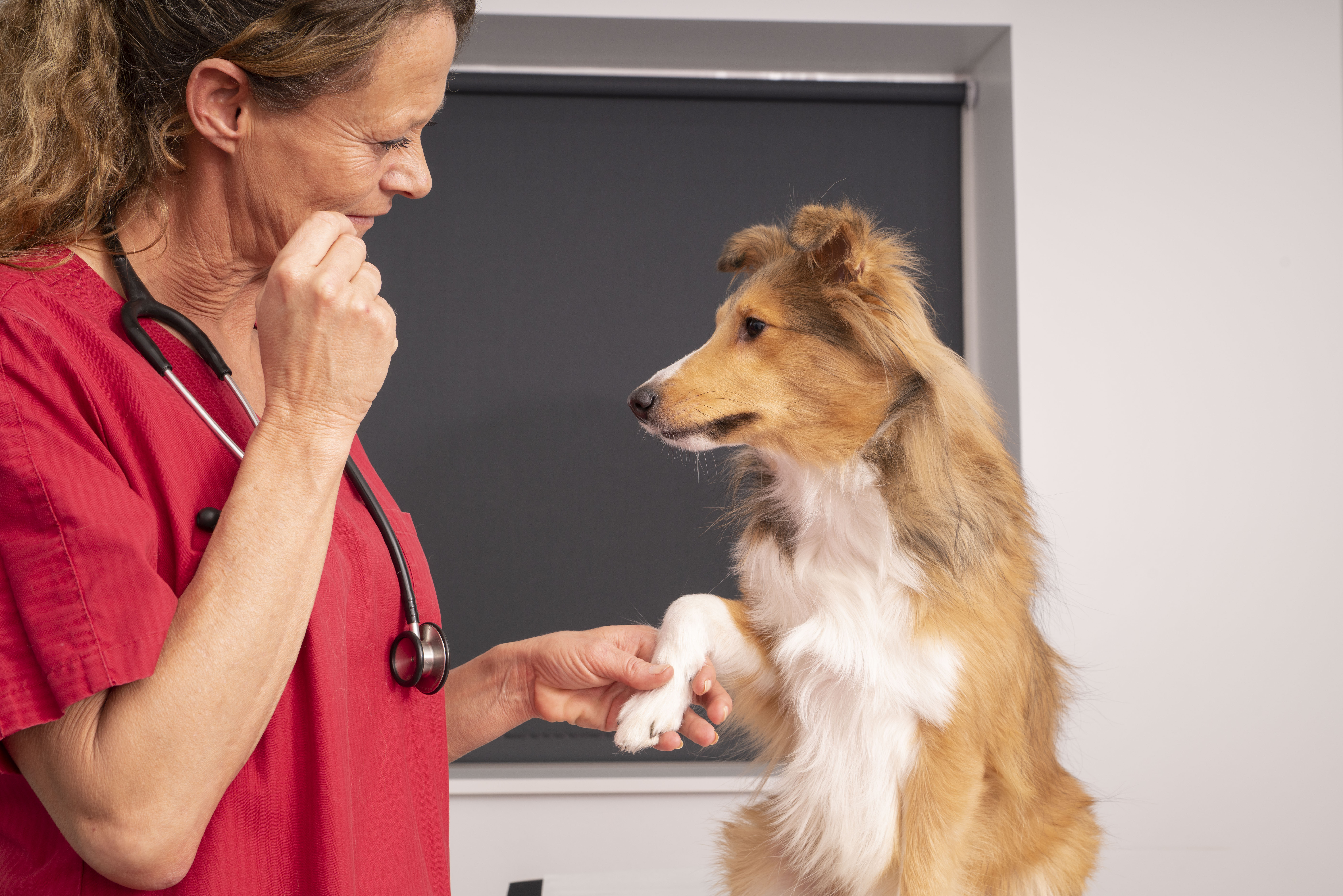 2022_TBR6012 (1).jpg