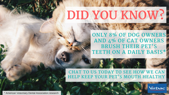 Did you know stats banner final.jpg