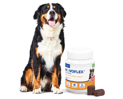 Movoflex-veliki-psi